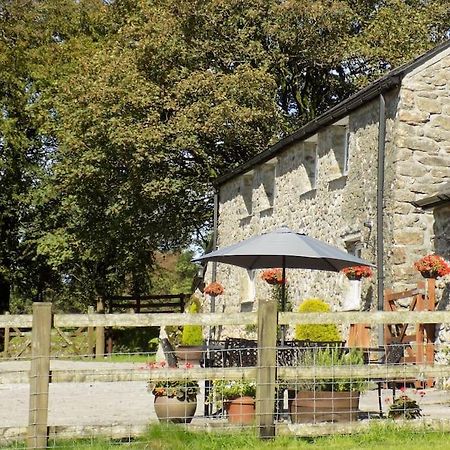 Lower Willsworthy Cottage Tavistock  Eksteriør billede
