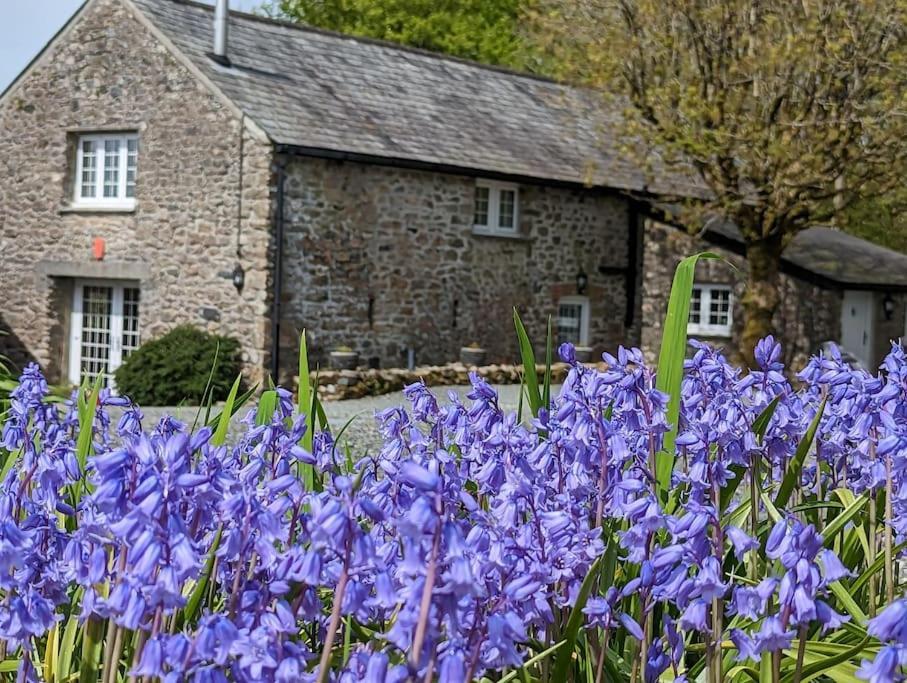 Lower Willsworthy Cottage Tavistock  Eksteriør billede
