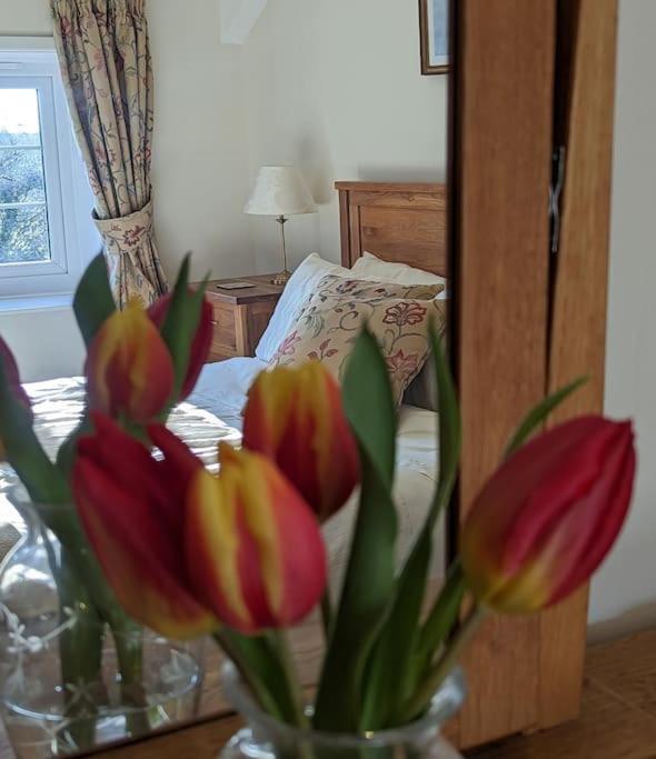 Lower Willsworthy Cottage Tavistock  Eksteriør billede